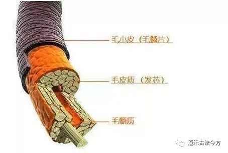 一撮白發(fā)，顯老5歲，道禾養(yǎng)發(fā)館解讀頭發(fā)變白的真相！